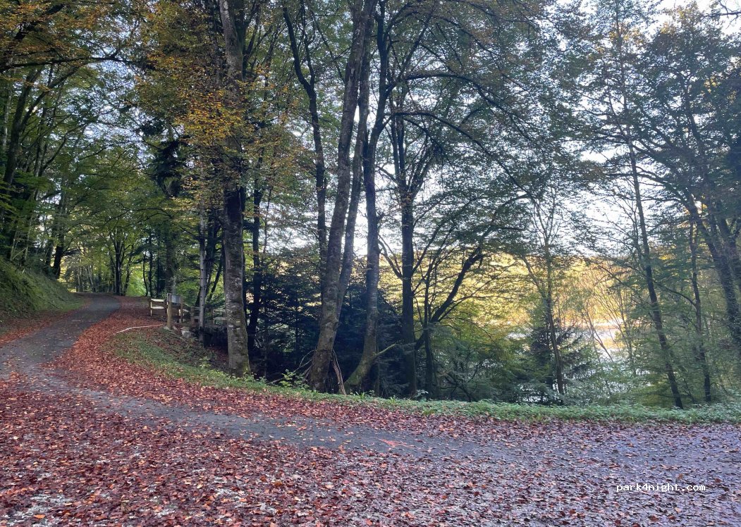 (15270) Beaulieu - Bois Devet — foto 3