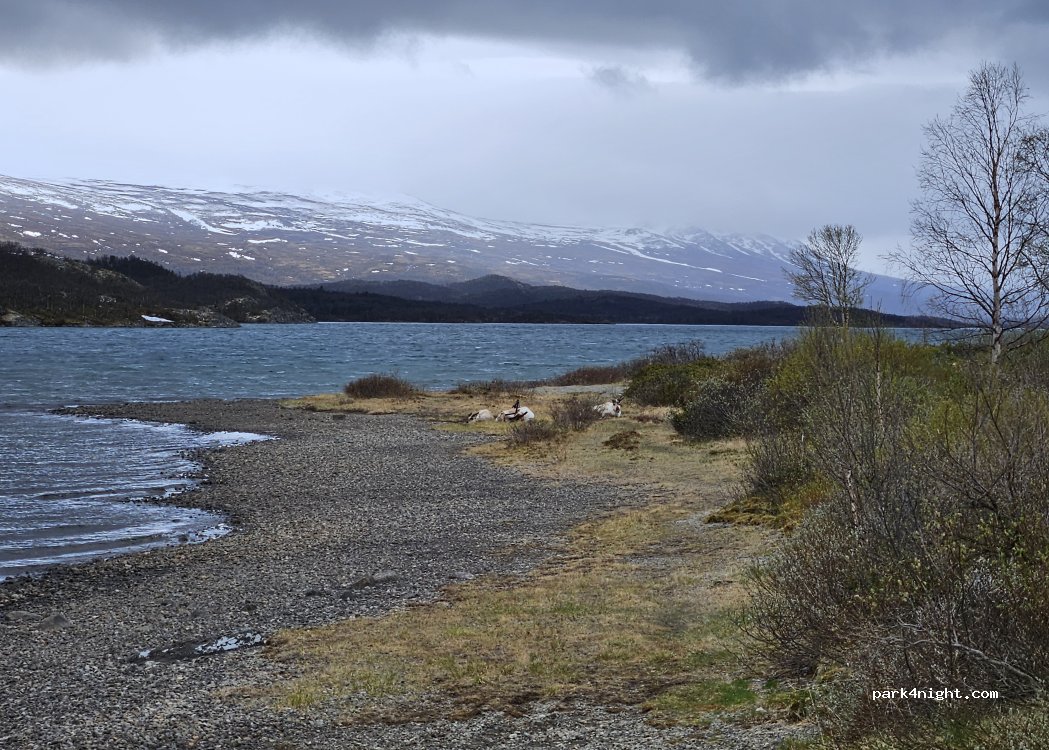 (2683) - Primær Fylkesveg 51 — foto 4