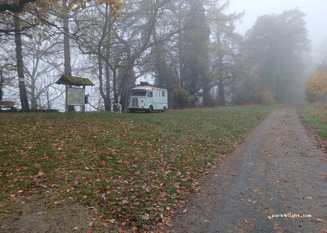 (37619) Pegestorf - 1 Steinmühle — foto 5