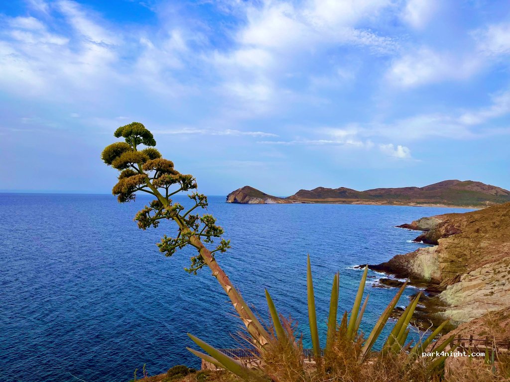 Cabo de Gata Camper Park — foto 3