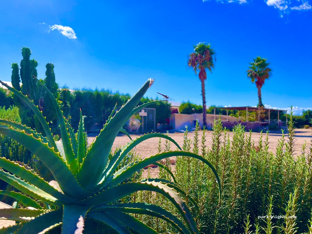 Cabo de Gata Camper Park — foto 5