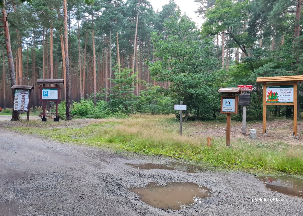 (59) Polkowicki - Droga Wojewódzka 328 — foto