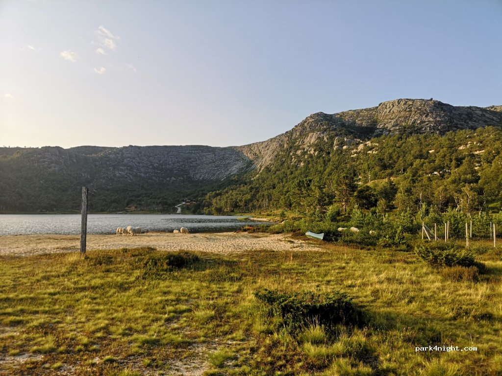 (4473) Kvinlog - 221 Stølsvegen — foto