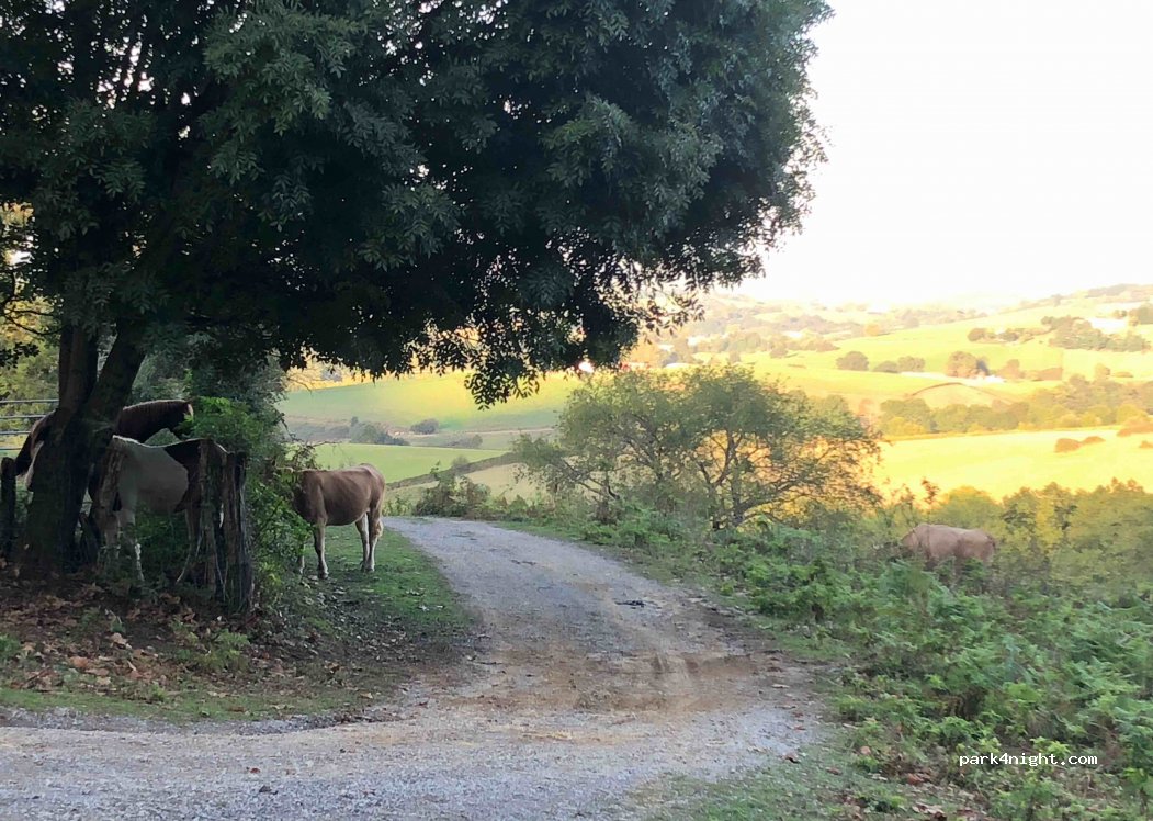 (64310) Sare - Unnamed Road — foto 3