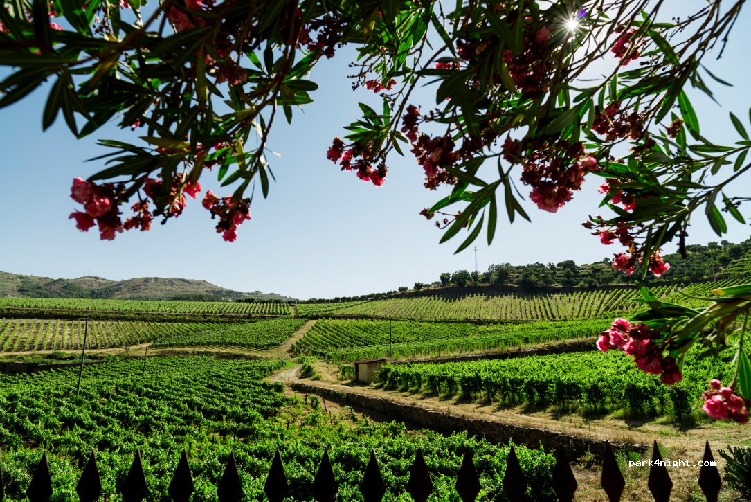 Quinta do Monte Travesso — foto 3