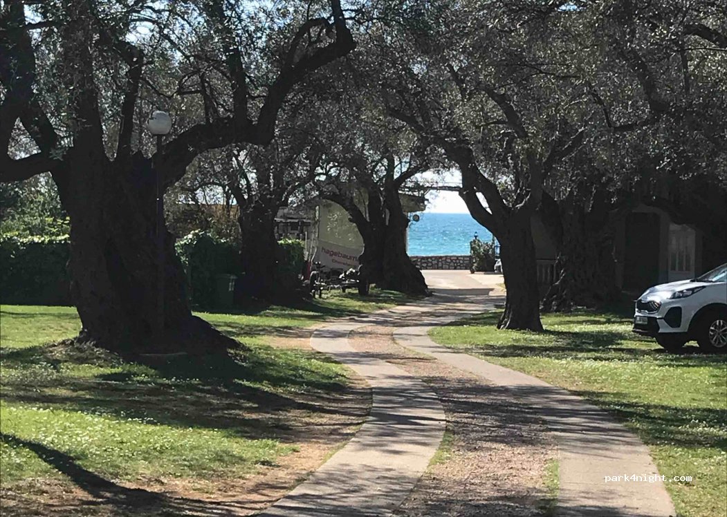 Camp Oliva — foto 3