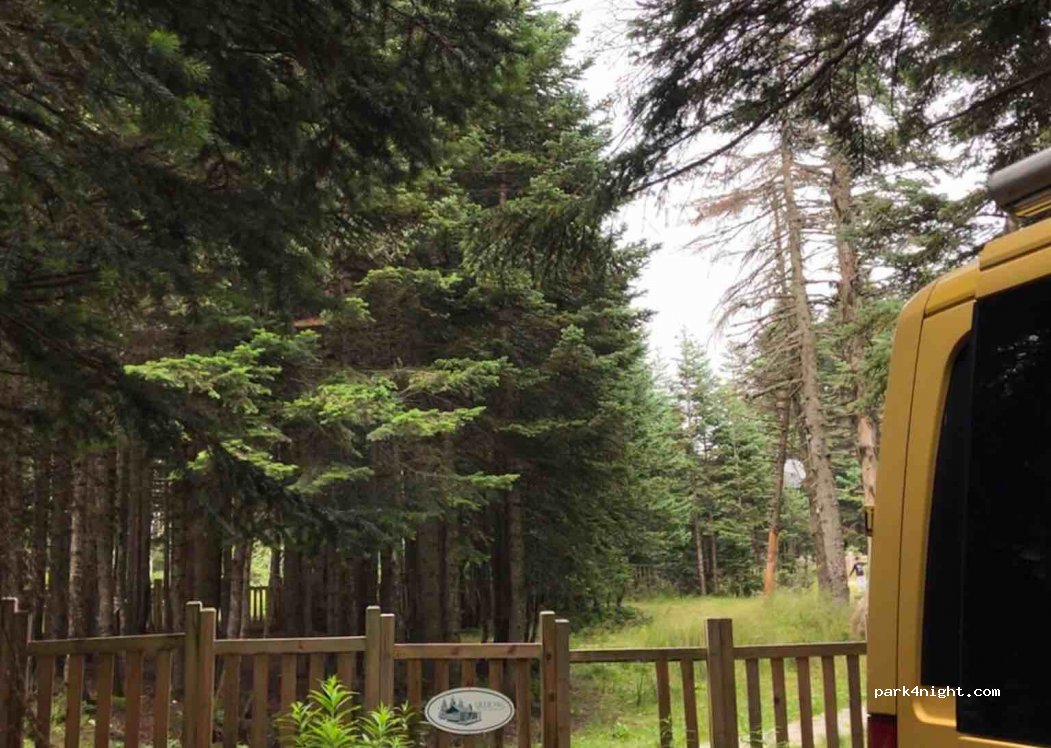 Sarıalan campsite — foto 2