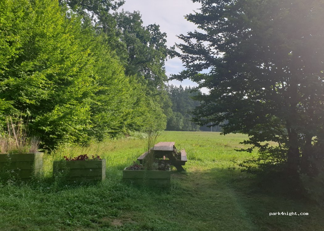 (11-710) Strzałowo - Unnamed Road — foto