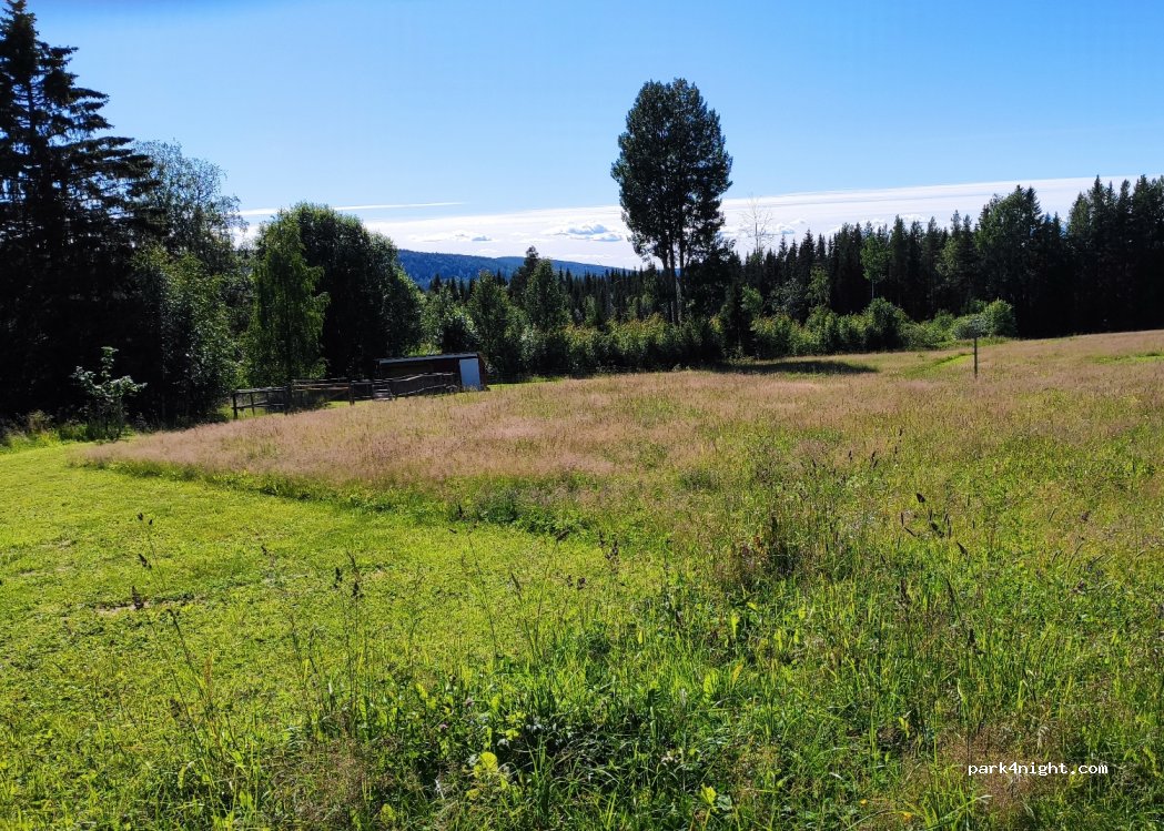 Woodland Farm — foto 3