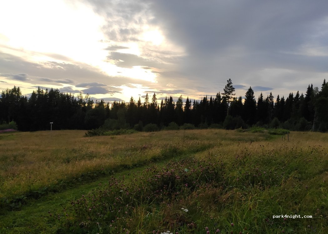 Woodland Farm — foto 4