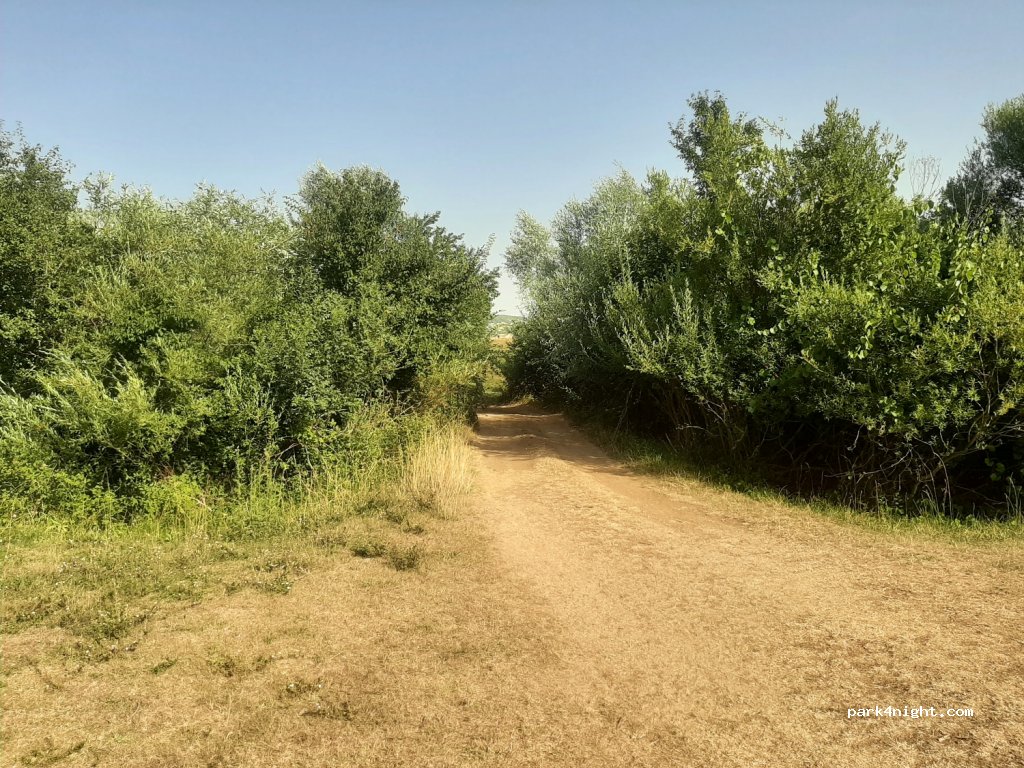 (21230) Gala - Unnamed Road — foto 3