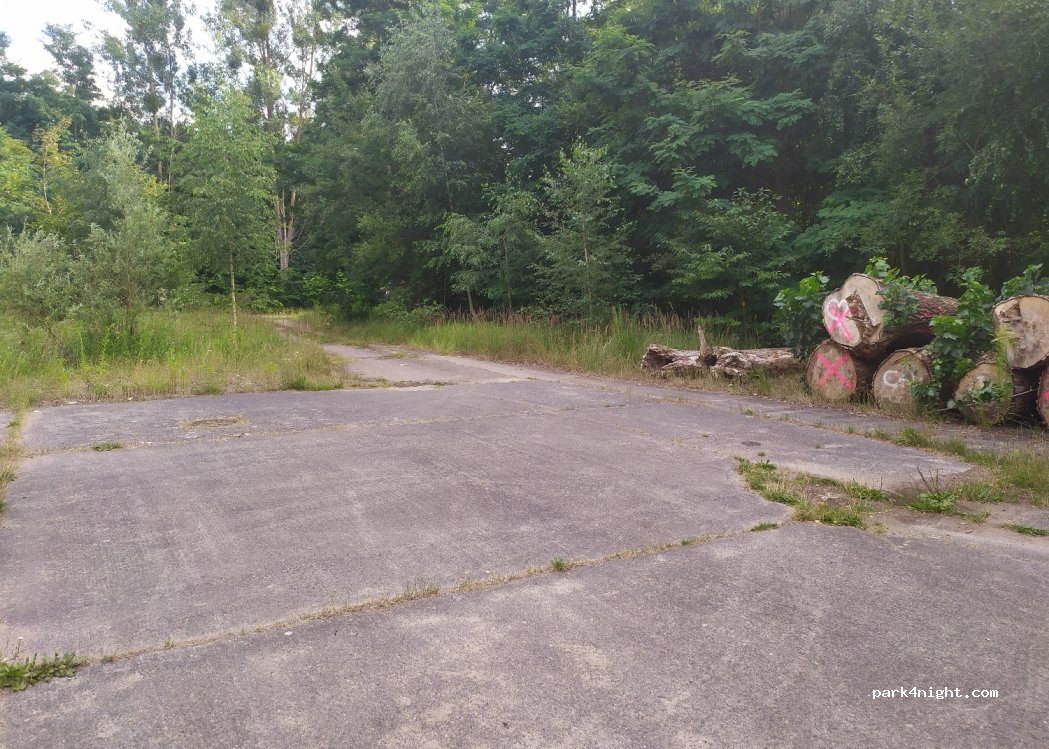 (17248) Rechlin - — foto 2