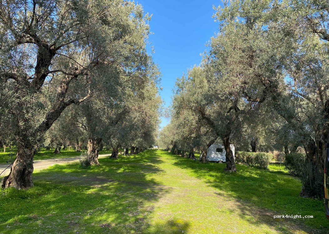 Agriturismo Il Maresciallo — foto 2