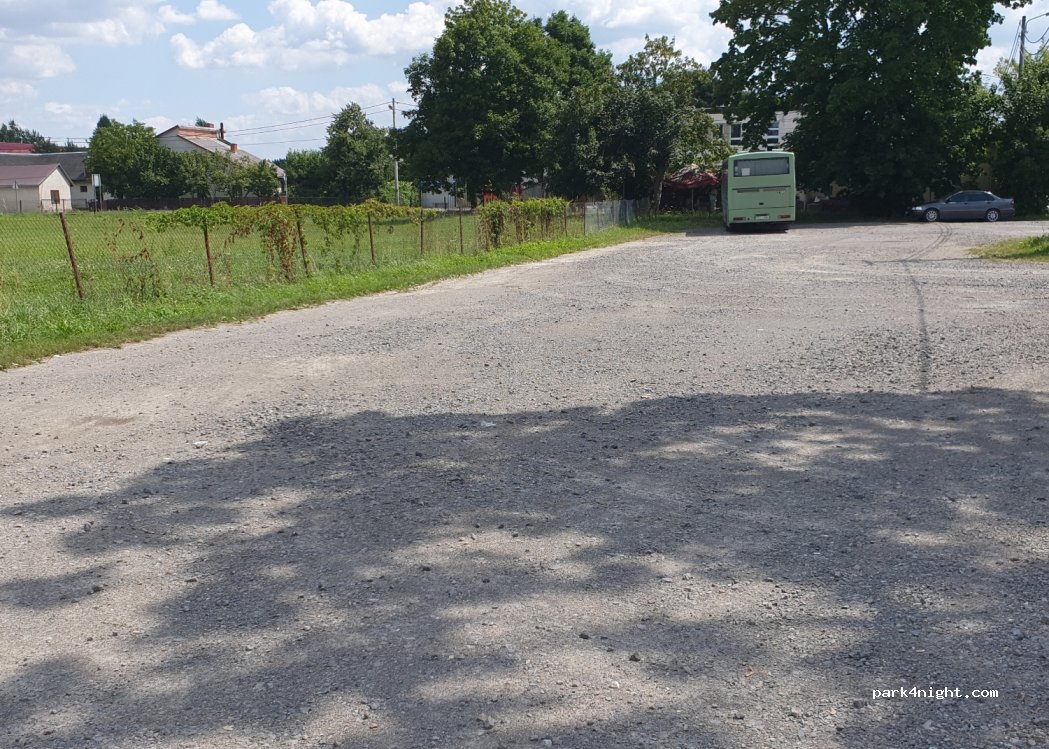 (23-235) Borów - — foto 2