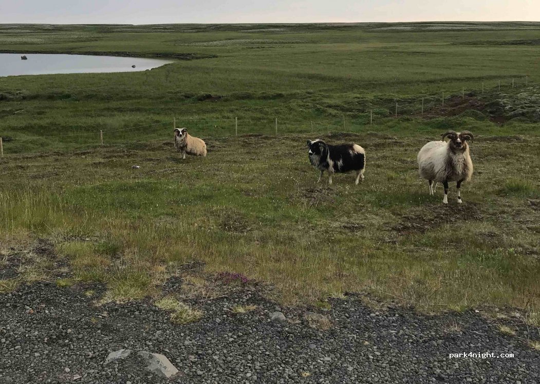 Þingvallavegur — foto