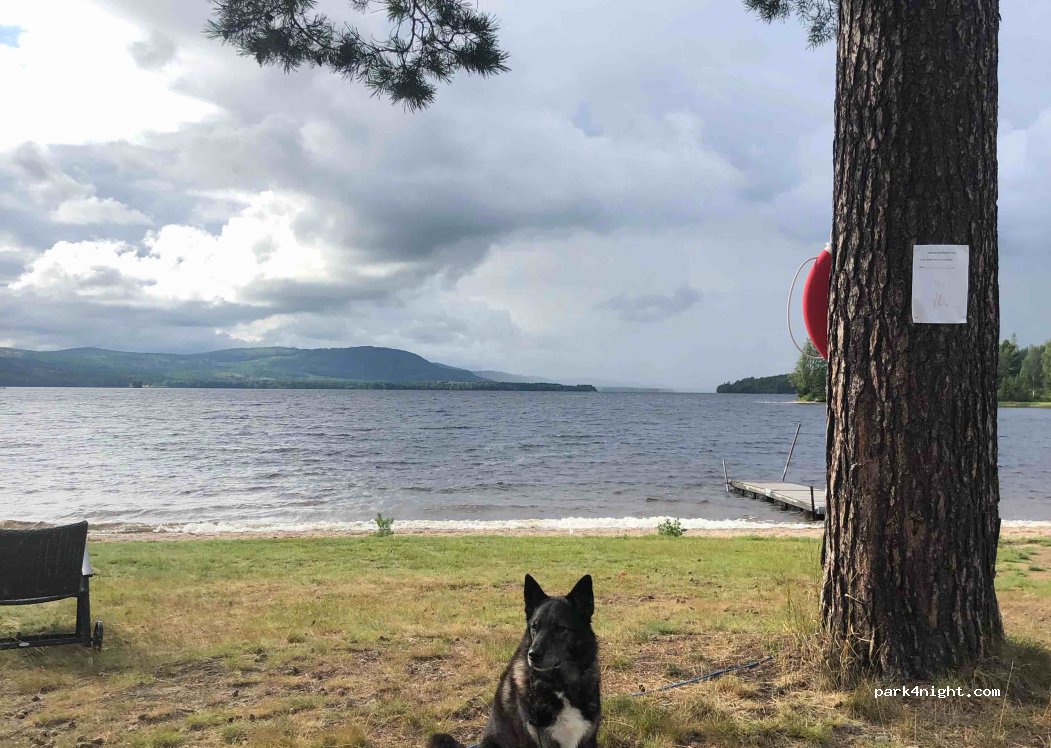 Hennans Camping — foto