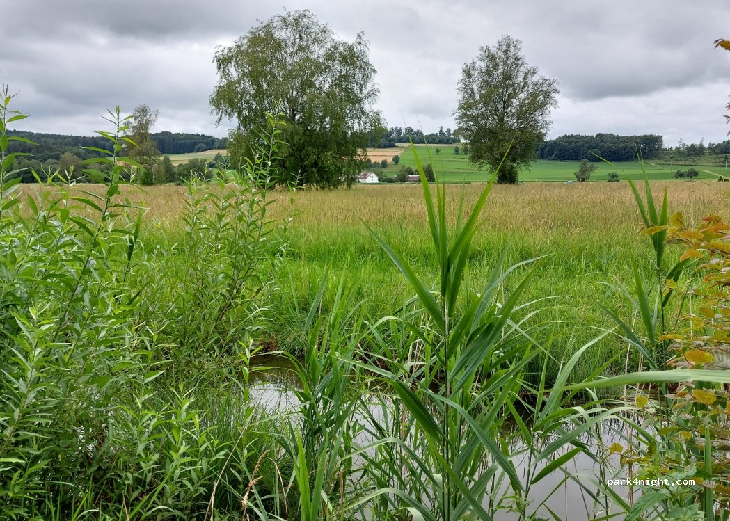 Camping Seewiese — foto 2