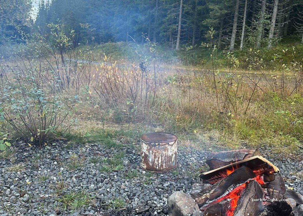 (2910) - Sekundær Fylkesveg 220 — foto 3