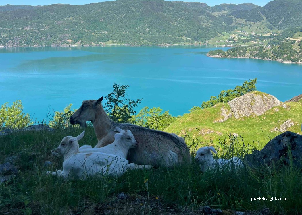 (5596) Markhus - Unnamed Road — foto 3