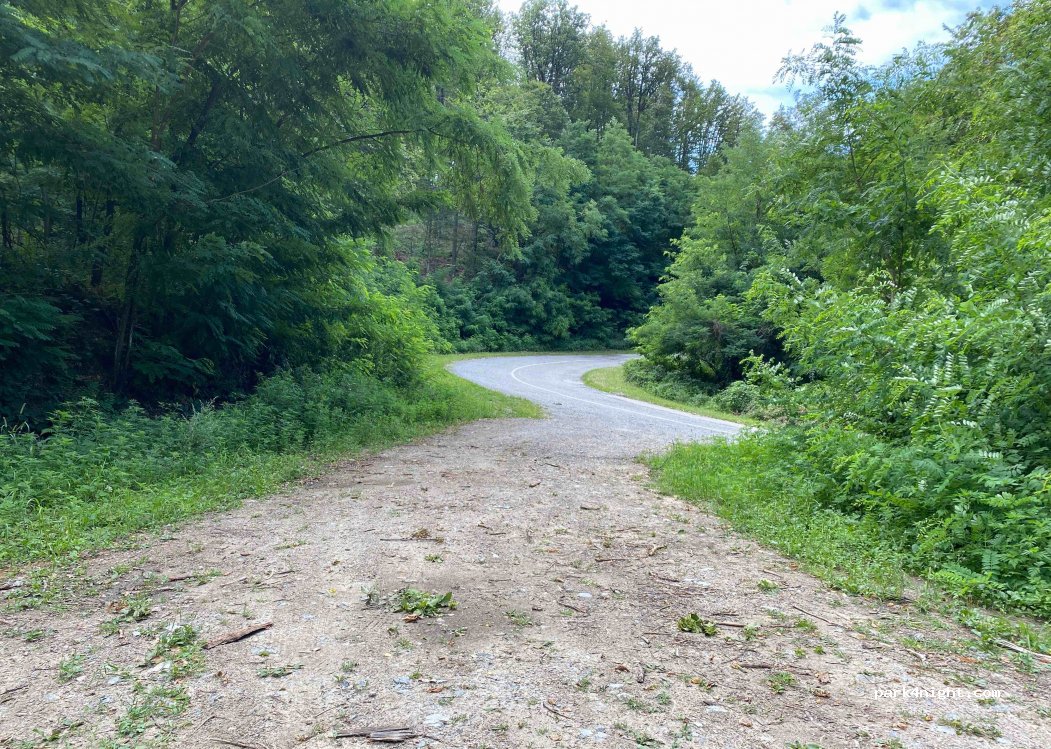 (44317) Gornja Jelenska - Unnamed Road — foto