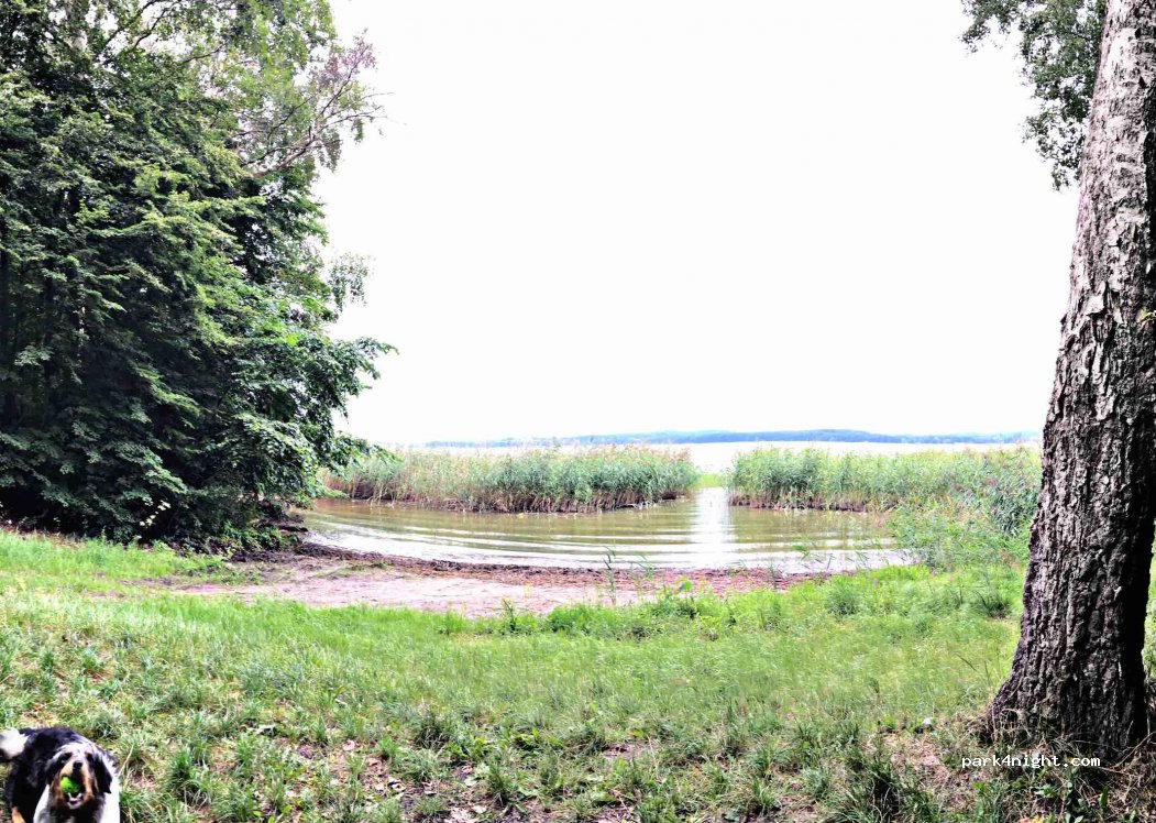 (17166) Dahmen - Unnamed Road — foto