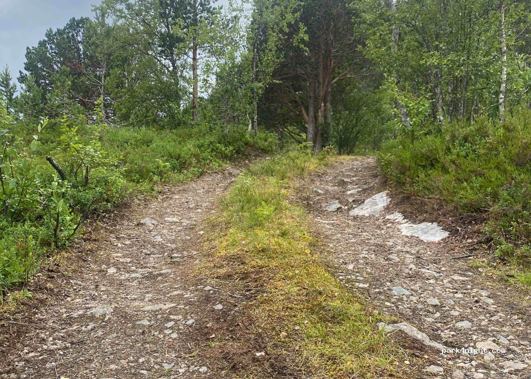(8410) Lødingen - E10 — foto 3