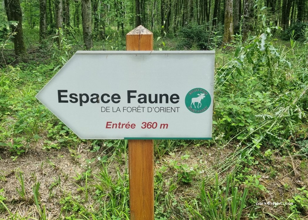 (10220) Piney - Chemin du Gaty — foto 3