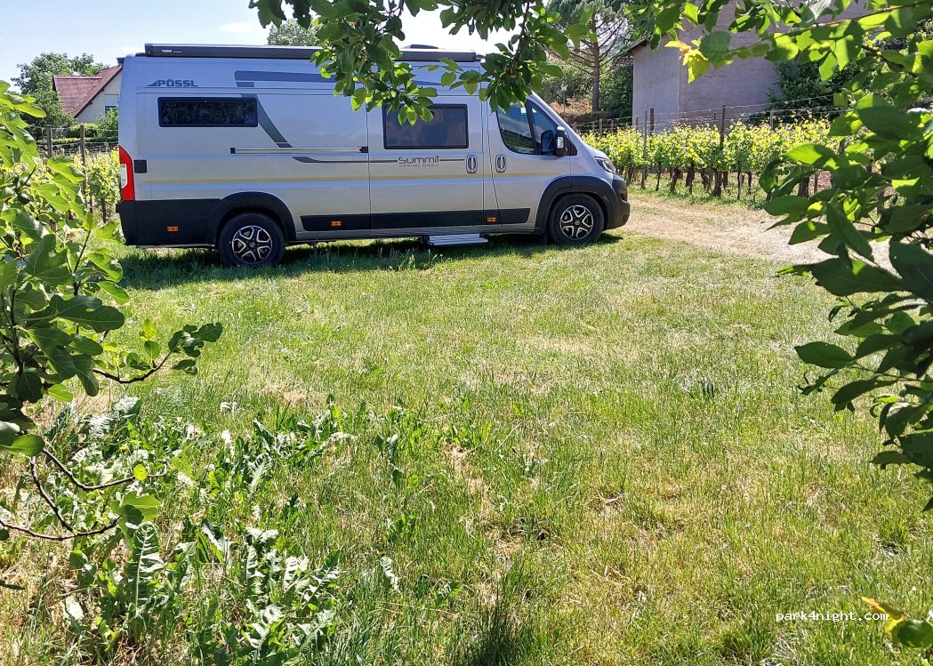 Vins MARZOLF — foto 5