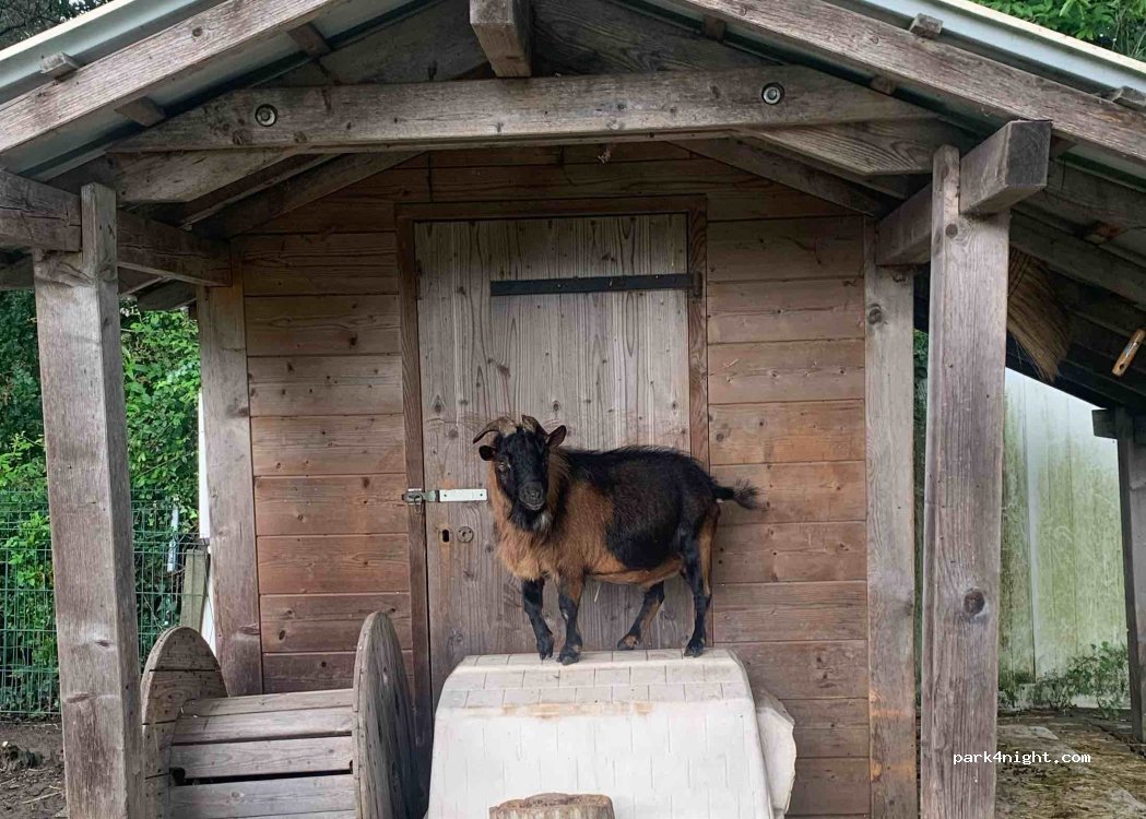 Camping à la Ferme La Rose d'Or — foto 3