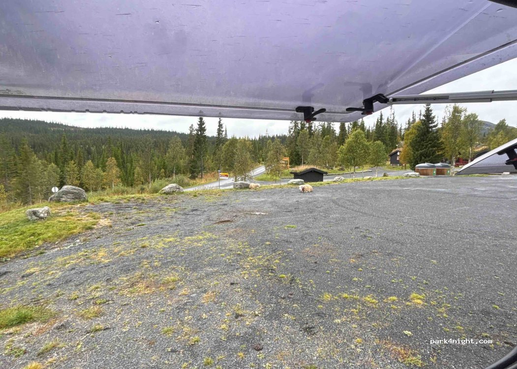 (2653)  - 1250 Sekundær Fylkesveg 204 — foto 2