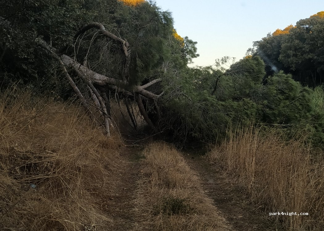 (57027) San Vincenzo - Unnamed road — foto 4