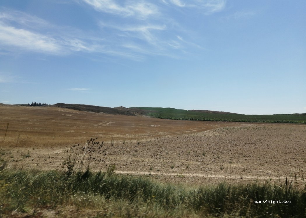 (31250) Oteiza - Carretera de la Zona Media — foto