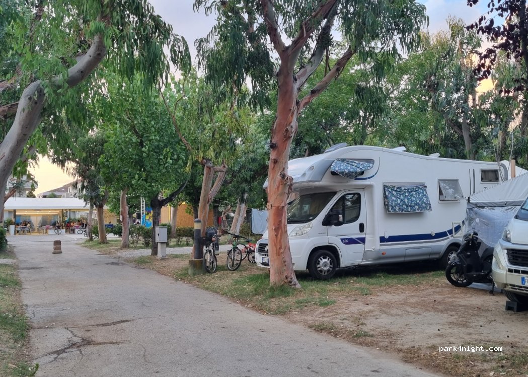 Camping Eucaliptus — foto 2