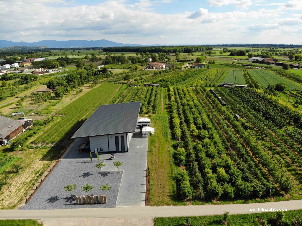 Weingut und Hausbrennerei Sexauer — foto