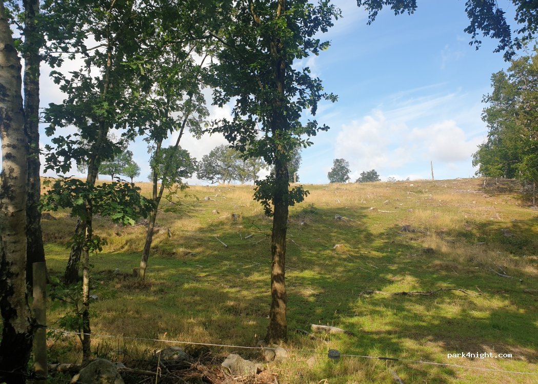 (247 91) Lund - Unnamed Road — foto 4