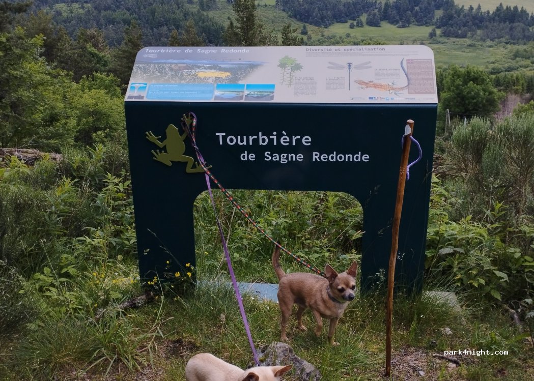 (07660) Lanarce - Beauregard — foto 3