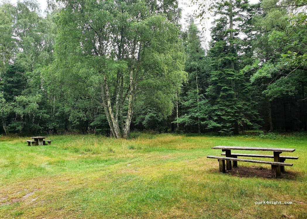 (8600) Silkeborg - 31 Sejsvej — foto 2