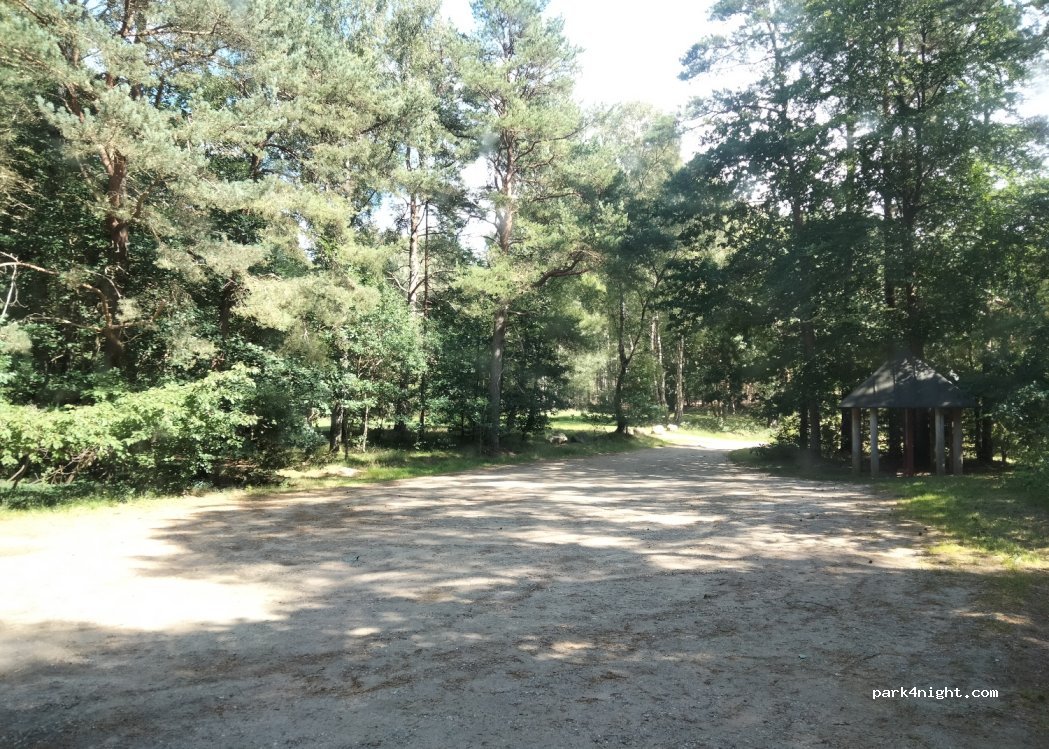 (8600) Silkeborg - 31 Sejsvej — foto 4