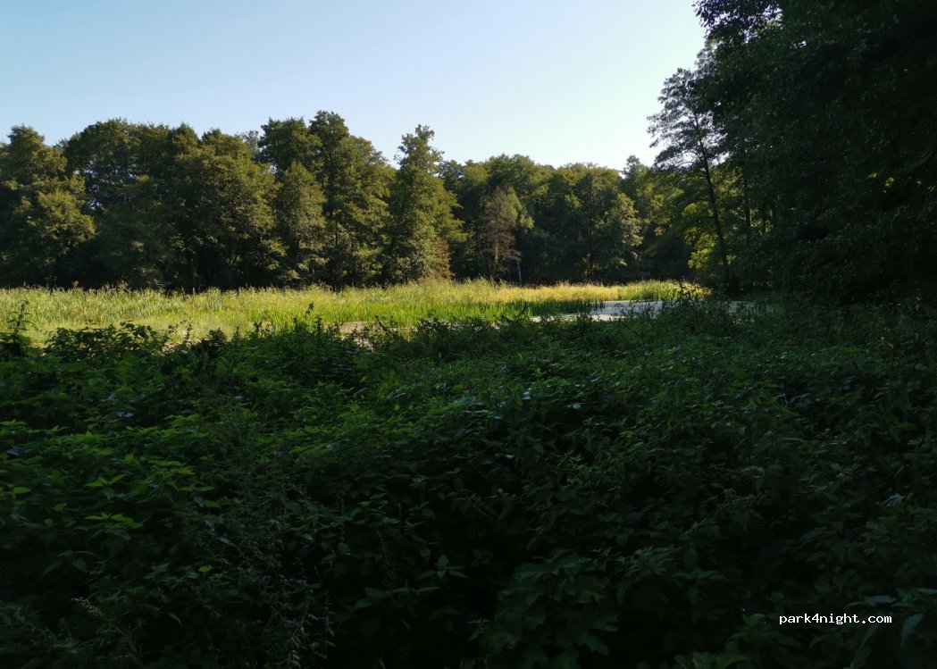 (95-082) Barycz - — foto 4
