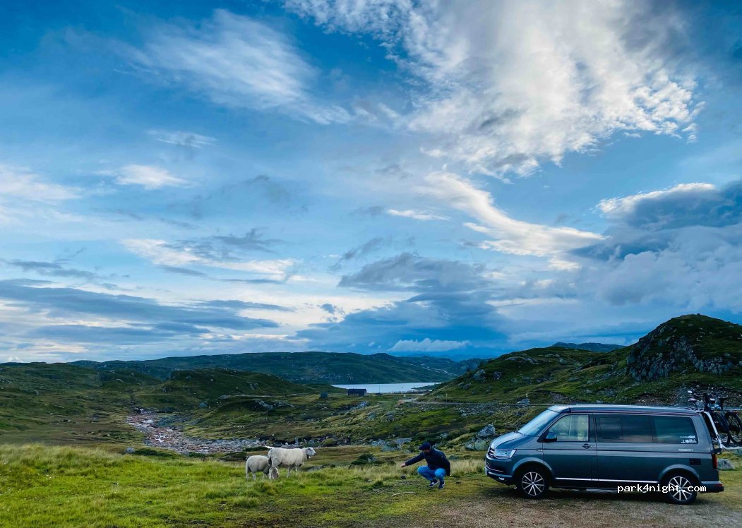 (4748) Valle - Sekundær Fylkesveg 337 — foto