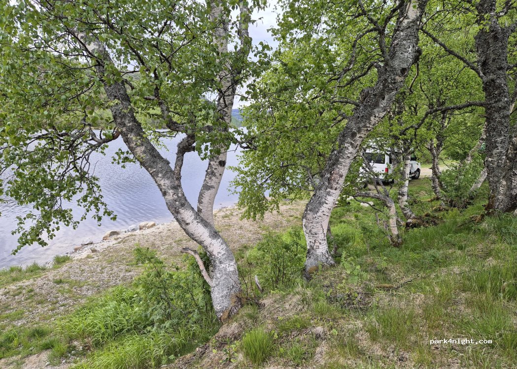 (4443) - 1 Sekundær Fylkesveg 975 — foto 4
