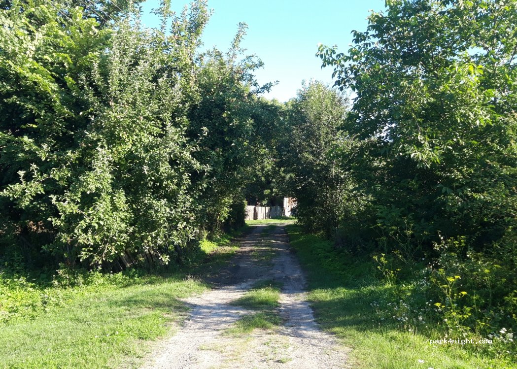 (80531) Chuchmany - Unnamed Road — foto