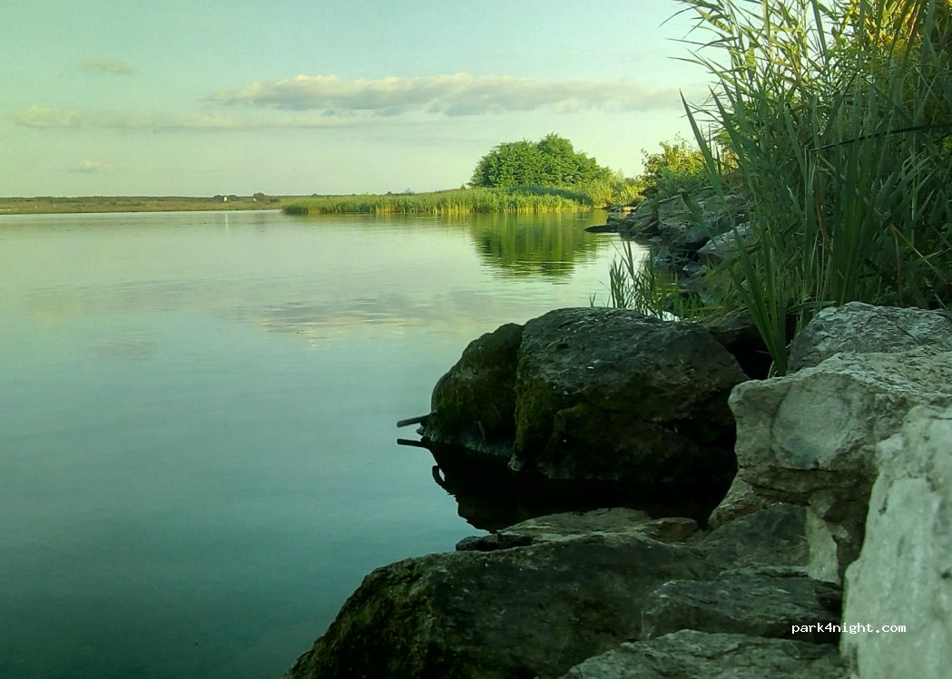 ()  - — foto