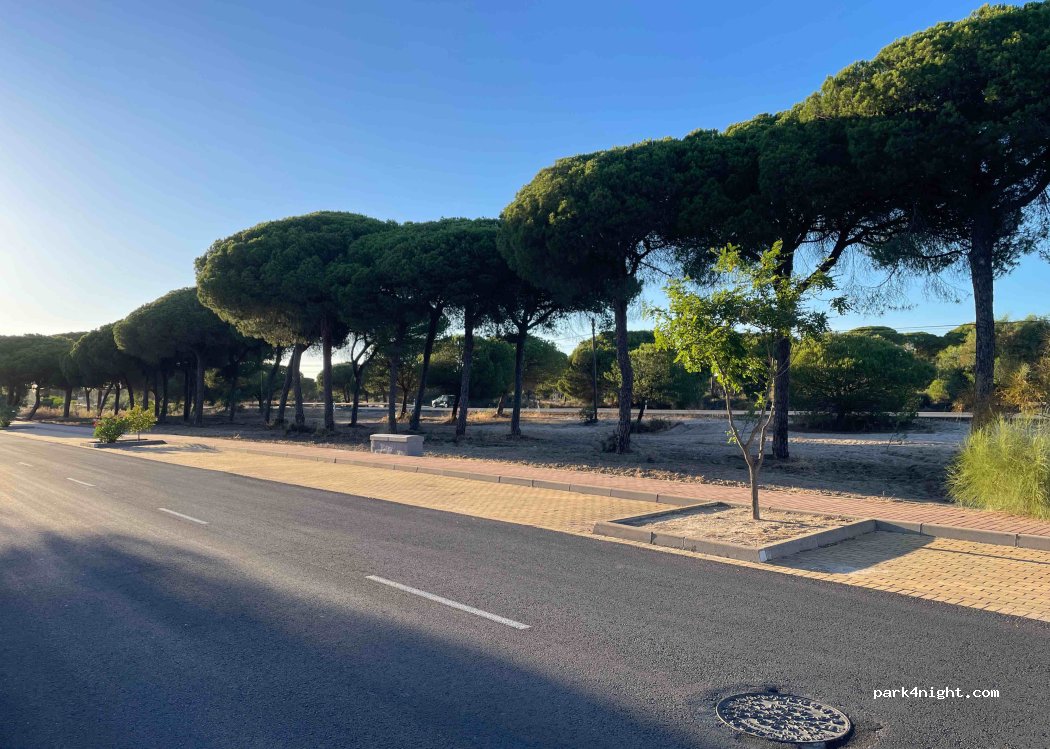 (21130) Moguer - 1 Avenida de Santa Clara — foto