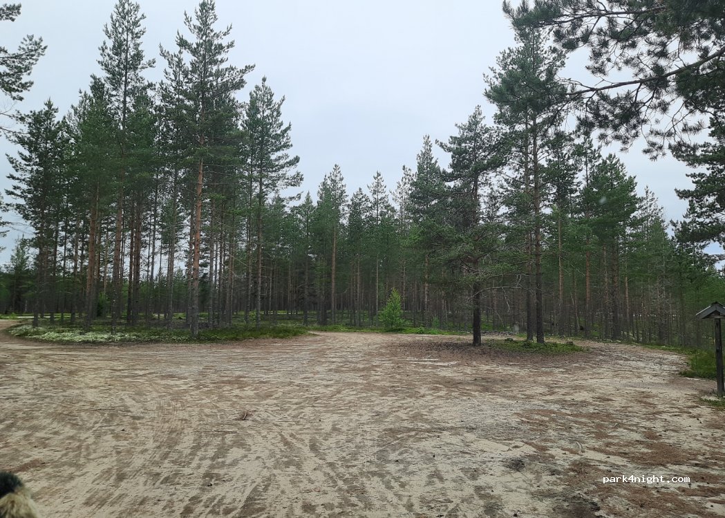 (828 93) Mattsmyra - Voxnavägen — foto