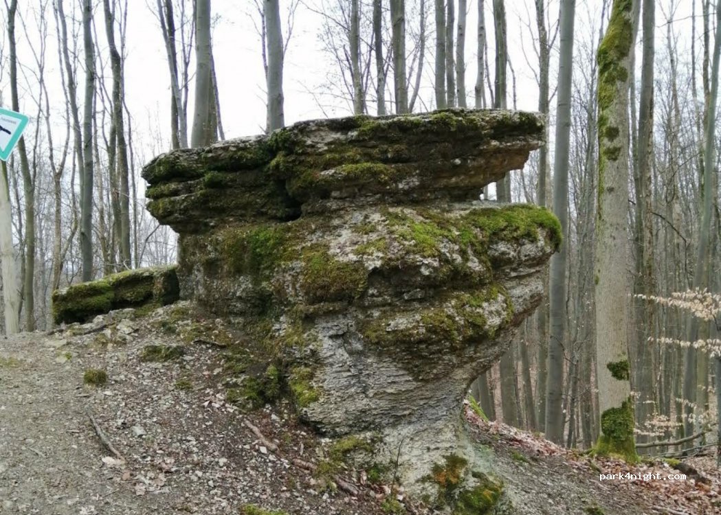 (36381) Schlüchtern - — foto 2