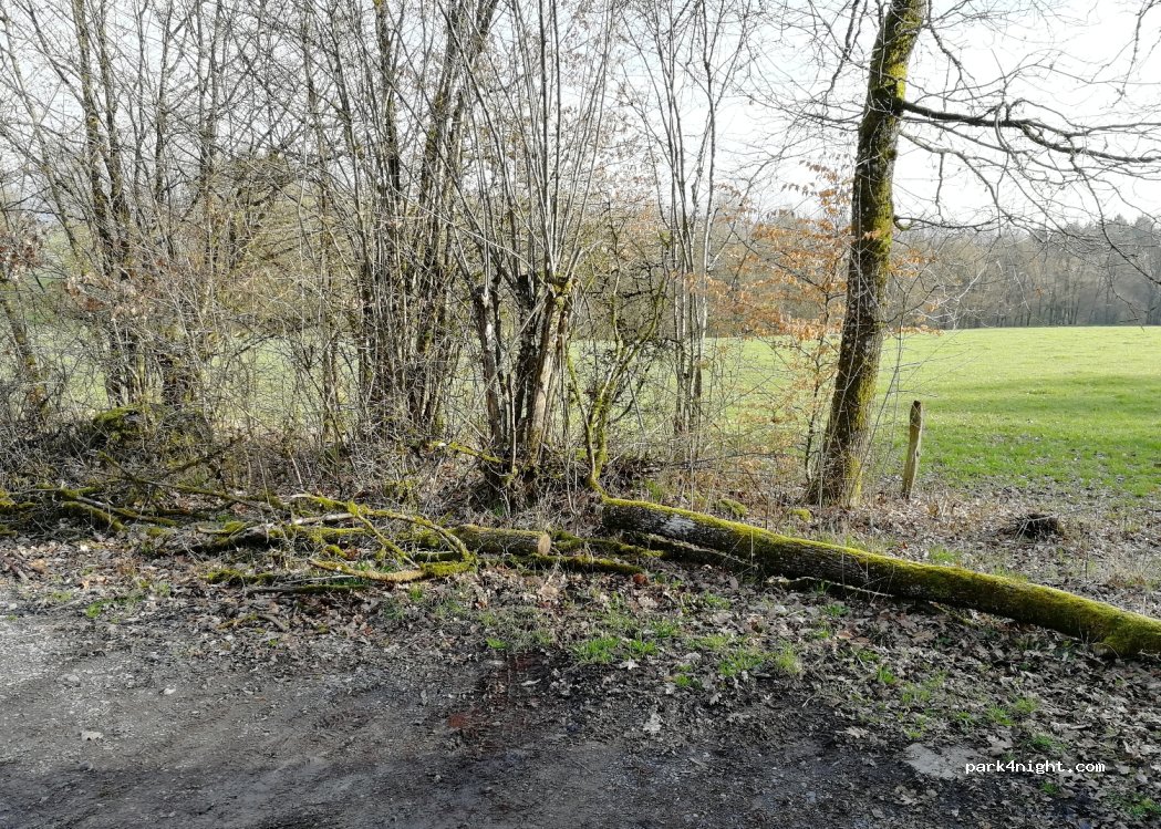 (36381) Schlüchtern - — foto 4