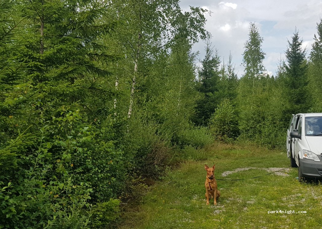 (341 77) Agunnaryd - Unnamed Road — foto