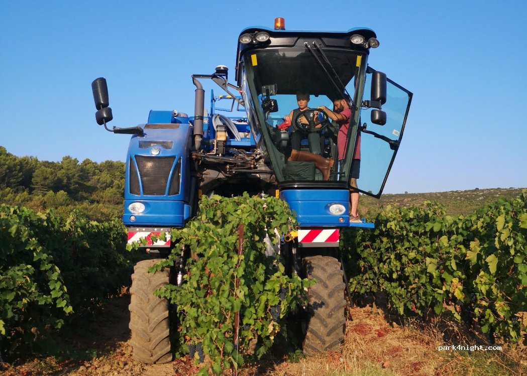 Domaine des Mathurins — foto 2
