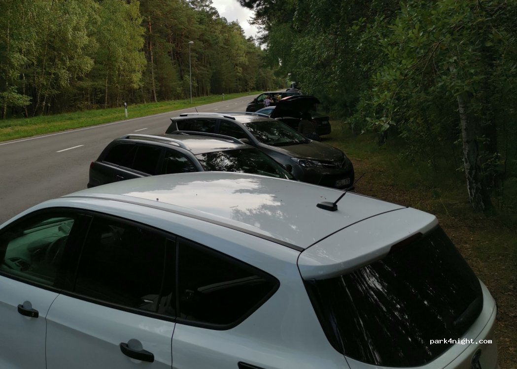 (93122) Klaipeda - Nidos-Smiltynės plentas — foto
